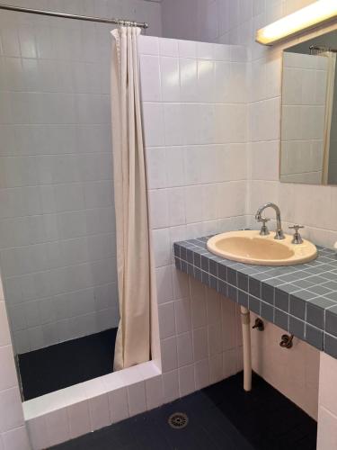a bathroom with a sink and a shower at Bayview Motor Inn in Eden