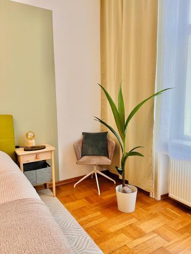 a bedroom with a potted plant and a chair at SERVUS HOMES - Friends & Family in Vienna