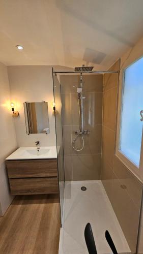 une salle de bain avec douche et lavabo dans l'établissement Appartement 2 pièces cannes, à Cannes