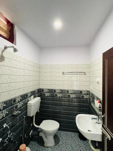 ポートブレアにあるSea Shore Residencyのトイレと洗面台のあるバスルーム