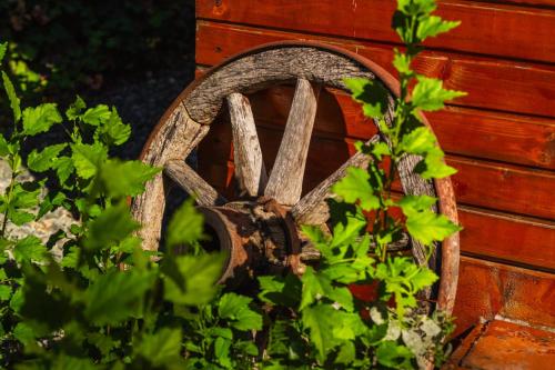 Photo de la galerie de l'établissement Cabana La Florut, à Sălciua de Jos