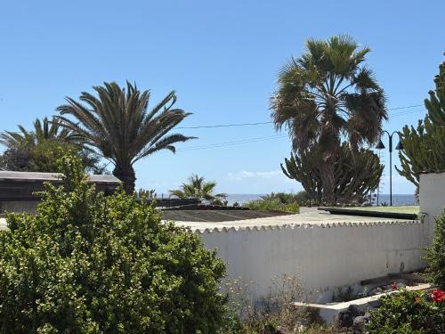 a street with palm trees and a retaining wall at Apartment Luna FKK Nudist Place in Charco del Palo