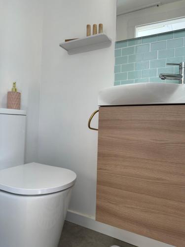 a bathroom with a toilet and a sink at Suite Caravan by Noches de Calig in San Jorge