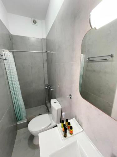 a bathroom with a toilet and a sink and a mirror at SEA and SAND villa in Monolithos