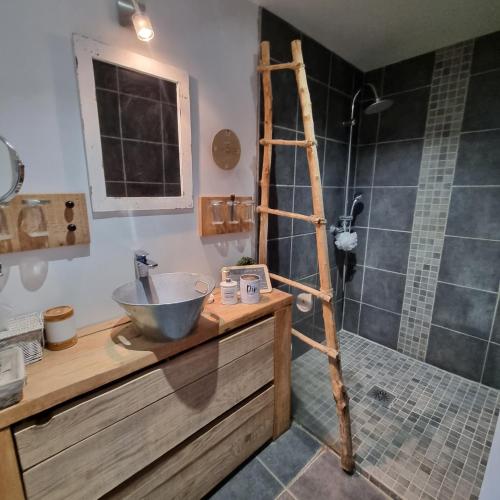 une salle de bain avec un lavabo et une douche dans l'établissement Chambre et animaux de la ferme, à Chambord
