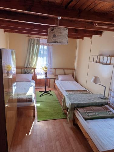 a room with two beds and a green rug at Leśna Osada Tęcza Jabłonowiec in Jabłonowiec