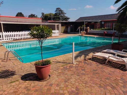 a swimming pool with a potted tree next to a house at Sibahlenomhlambi Guesthouse in Springs