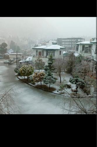 a snow covered yard with trees and a house at Nainital Cotteges in Rāmgarh