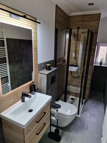 a bathroom with a sink and a toilet and a shower at Elbe-Appartements Prignitz #1 in Wittenberge