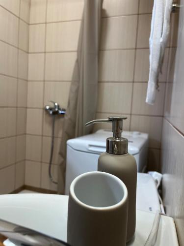 a bathroom with a soap dispenser on a sink at Salitzo Apartment Palairos in Paleros