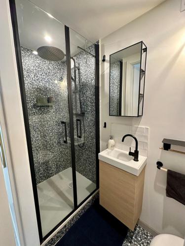 une salle de bain avec douche et lavabo dans l'établissement Le Cocoon Strasbourgeois, à Strasbourg