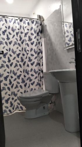 a bathroom with a toilet and a sink and a shower curtain at Sunvilla beachfront hotel in Boracay