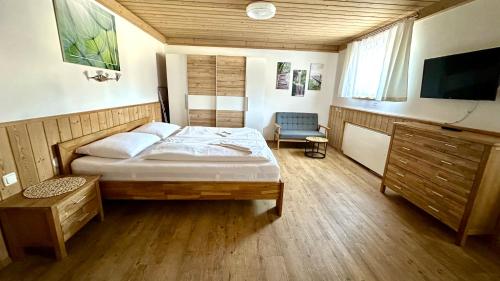 Living Apartments Saalbach incl Joker Card in Summer