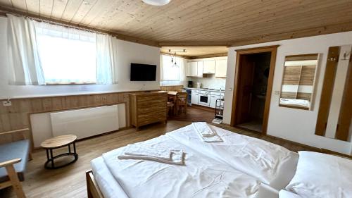 Living Apartments Saalbach incl Joker Card in Summer