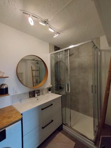 une salle de bain avec une douche, un lavabo et un miroir dans l'établissement Le fidgi - T3 6 personnes Parking privé Clim Terrasse proche plages, à Cagnes-sur-Mer