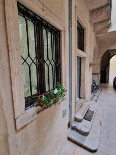 a building with a window with flowers on it at Residence Via Duomo in Verona