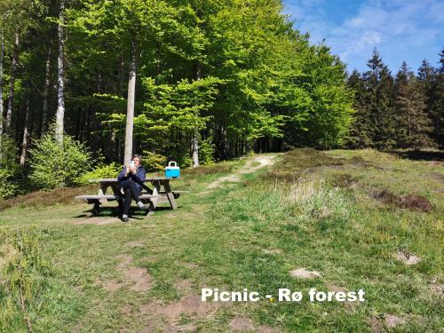 a woman sitting on a picnic table in a park at Apple Blossom Studio - near Rønne and Beach in Rønne
