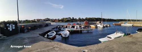 a group of boats are docked at a marina at Apple Blossom Studio - near Rønne and Beach in Rønne