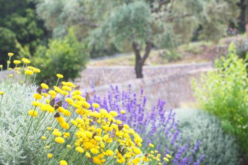A garden outside Asplathia Villas Lefkada