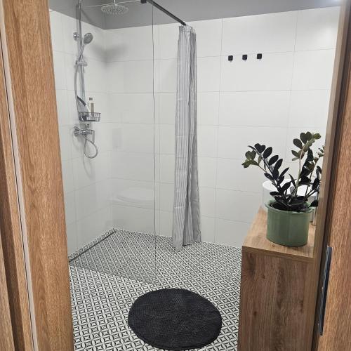 a bathroom with a shower with a potted plant at Babie lato Łagów in Łagów
