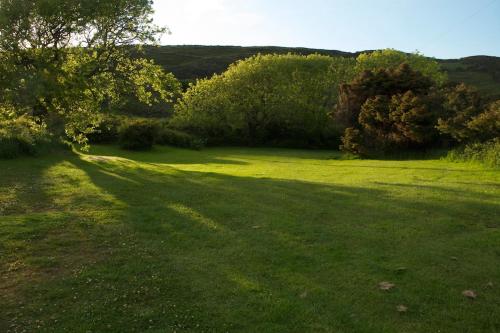 a large grassy field with a shadow of a tree at Cosy Seaside Cottage Baltimore in Ballylinchy