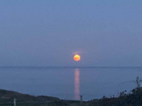 a full moon rising over the water at night at Cosy Seaside Cottage Baltimore in Ballylinchy