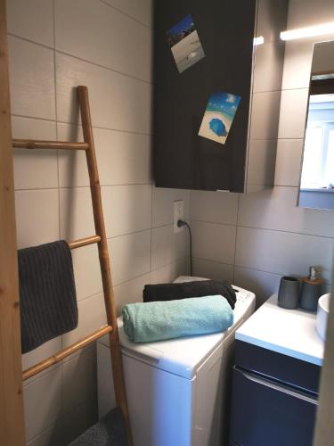 - une petite salle de bains avec des toilettes et une échelle dans l'établissement Joli meublé calme et proche commodités, à Mulhouse