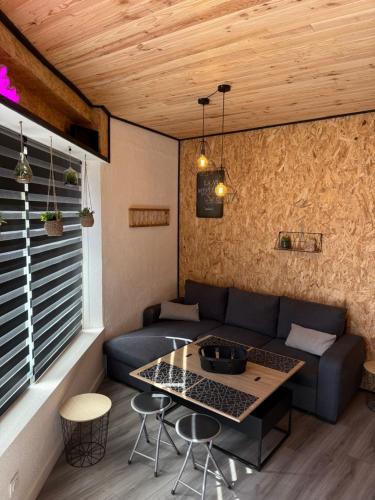 Photo de la galerie de l'établissement Nancy, Fun et Atypique !, à Laxou