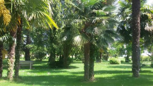 Κήπος έξω από το AgriturismoB&B Loggia Degli Artisti