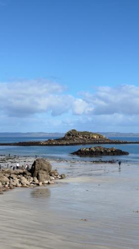 a group of birds standing on the rocks on a beach at Chambre cosy aux Sables Blancs in Douarnenez