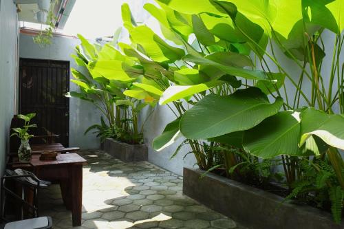 Taman di luar Brojos Homestay near Malioboro