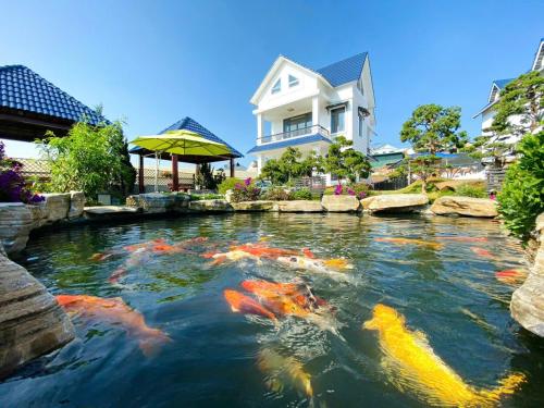 une maison avec un étang avec des cerfs-volants dedans dans l'établissement Villa &Coffee Garden, à Xuan An