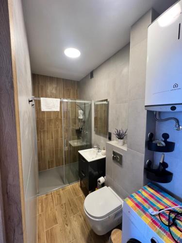 a bathroom with a shower and a toilet and a sink at Apartament Lawendowy in Skarżysko-Kamienna