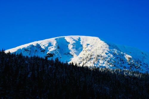 a snow covered mountain with trees in the foreground at Horská Bouda v Obřím Dole in Pec pod Snezkou