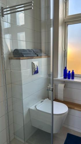 a white bathroom with a toilet and a window at Apple Blossom Studio - near Rønne and Beach in Rønne