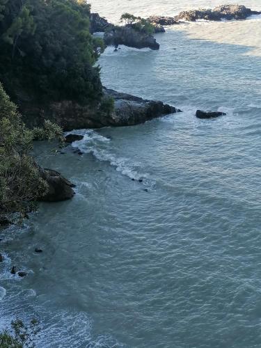 an aerial view of a body of water with trees at Le Rocce Wellness and Fitness, only adults in Lerici