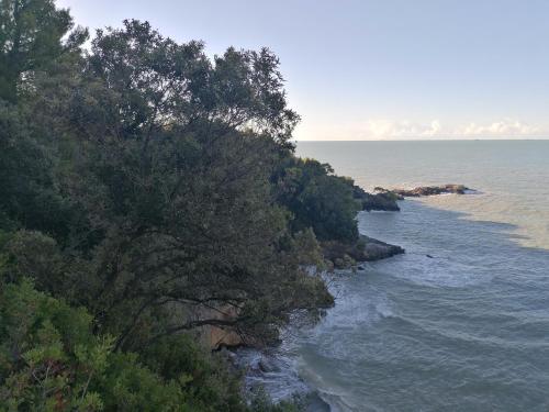 a view of a body of water with trees at Le Rocce Wellness and Fitness, only adults in Lerici