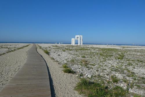une promenade au milieu d'une plage avec des fleurs blanches dans l'établissement Duplex cosy atypique à la plage - hyper centre, au Havre