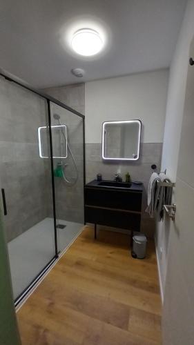 ein Badezimmer mit Dusche, Waschbecken und Spiegel in der Unterkunft Appartement avec terrasse dans maison individuelle in Ceyreste