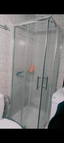 a shower with a glass door next to a toilet at Lovely apartment cosmopoli in Komotini