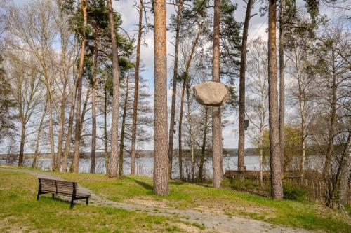 a park bench next to a tree with a bird feeder at Marina Maisonette Seeblick mit Pool und Sauna in Bad Saarow