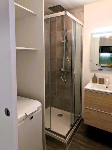 une salle de bain avec douche et lavabo dans l'établissement Studio Hardelot, à Neufchâtel-Hardelot