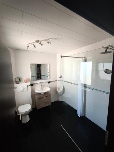 a white bathroom with a toilet and a sink at Ferienwohnung Paul & Jakob in Nohfelden