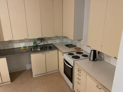 Una pequeña cocina con estufa y fregadero. en Home for work crew Jussintie A3, en Joensuu