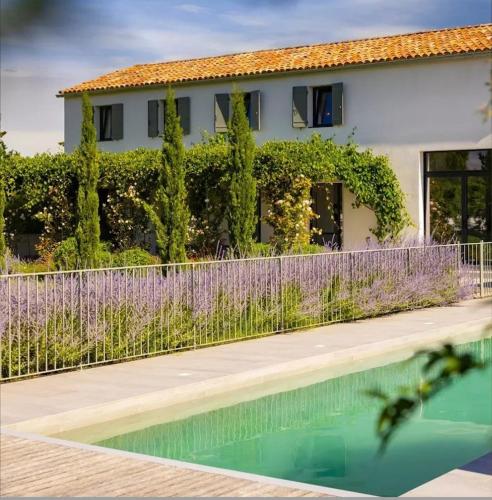 a bird flying over a swimming pool in front of a house at Mas de charme au pied des Alpilles in Maussane-les-Alpilles