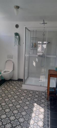 a bathroom with a shower and a toilet at De Verwennerie in Zierikzee