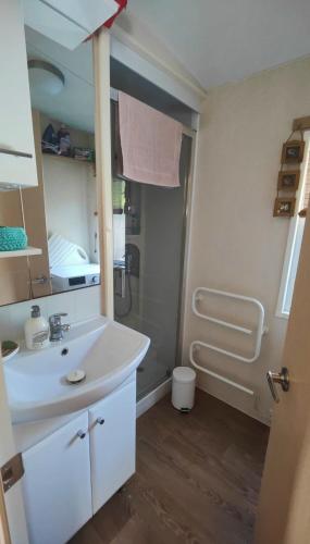 une salle de bain avec un lavabo et une douche dans l'établissement MH Les Mimosas sur terrain privé en pinède La Tranche Sur Mer, à La Tranche-sur-Mer