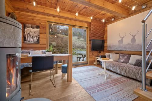 a living room with a fireplace and a couch at Srub Pod Lípou - Skryje in Skryje