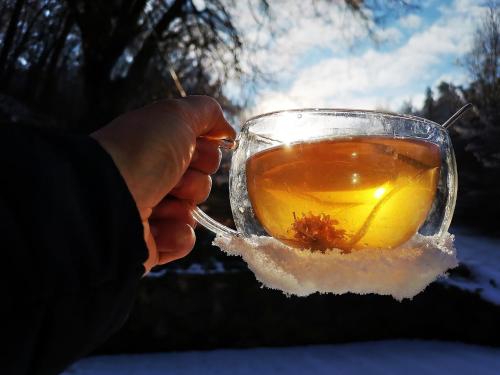 a person holding a cup of tea in the snow at Srub Pod Lípou - Skryje in Skryje