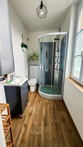 une salle de bain avec une douche avec un lavabo et des toilettes dans l'établissement Les pieds dans l'eau, à Veules-les-Roses